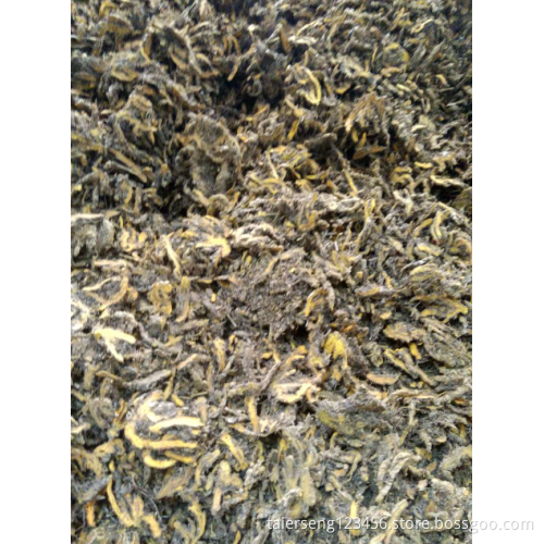 chinese goldthread benefits coptis tincture